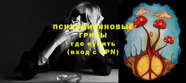 соль курить ск Богородицк