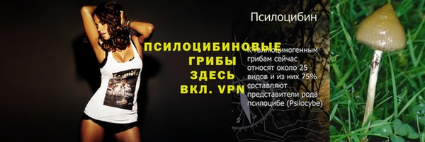 кокаин Богданович