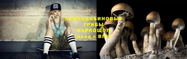 соль курить ск Богородицк