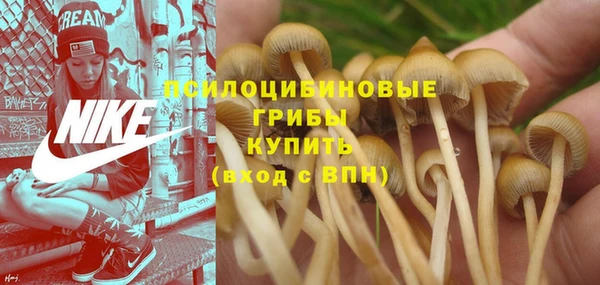 кокаин Богданович