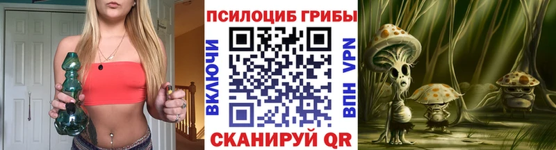 Псилоцибиновые грибы мицелий  Нижний Новгород 